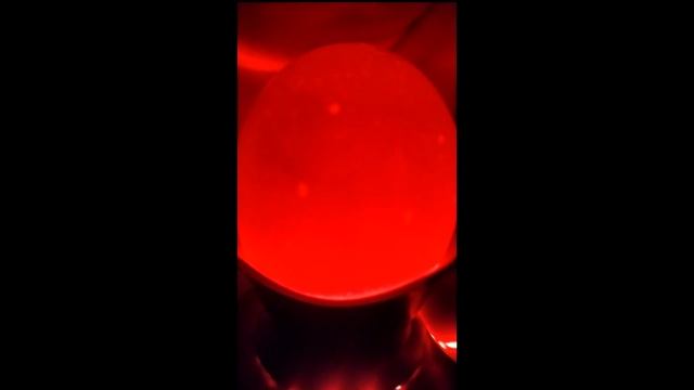 Яйца для инкубатора. Овоскопирование на 7 день инкубации.