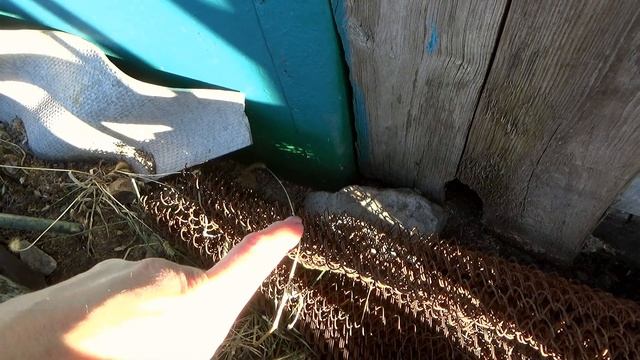 #28 Что успеть за 5 часов в деревне/И... смотреть онлайн