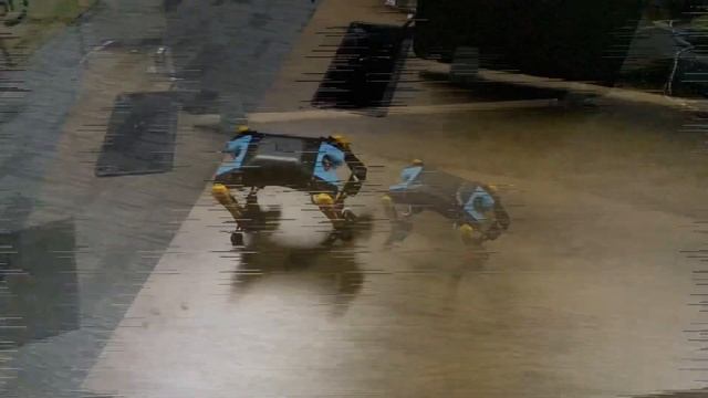 Robot dog Bittle can do backflips now! Programmable open source quadruped robotics kit смотреть онлайн