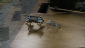 Robot dog Bittle can do backflips now!   Programmable open source quadruped robotics kit