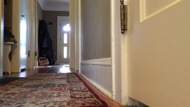 Tactics bro смотреть онлайн