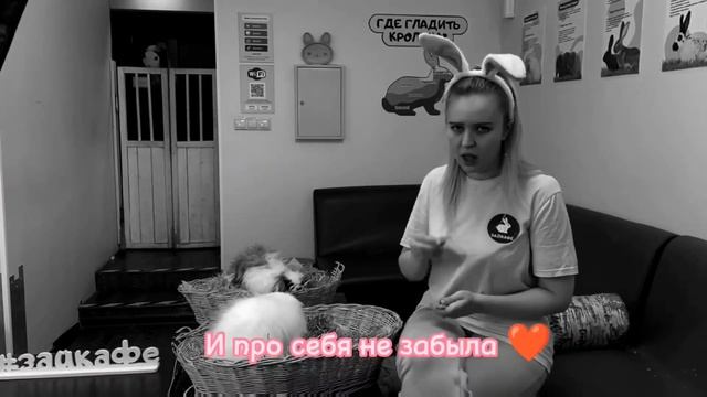 КАК ПОНЯТЬ КРОЛИКА? ПОЧЕМУ КРОЛИК БОИТСЯ? смотреть онлайн