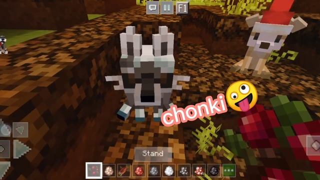 ☙|Beautiful Foxes Addon for mcpe | Perfect for Cottage core❦ смотреть онлайн