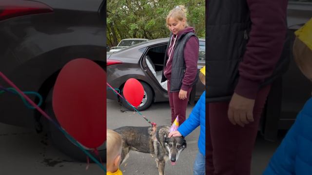 Мама Галя + Вуди = любовь! смотреть онлайн