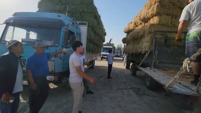 Чөптүн баасы тынбай түшүдөө көрүп билип алыңыздар.Тел +996505222886