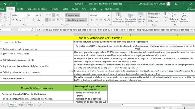 PQRS SIG 1 Excel Error de activación de productos 2023 04 20 23 21 53 смотреть онлайн