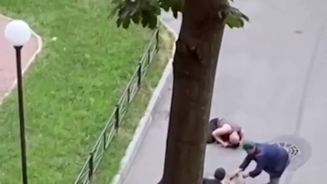 Мужчина закрыл телом свою собаку, пытаясь спасти её от двух стаффордширских терьеров смотреть онлайн