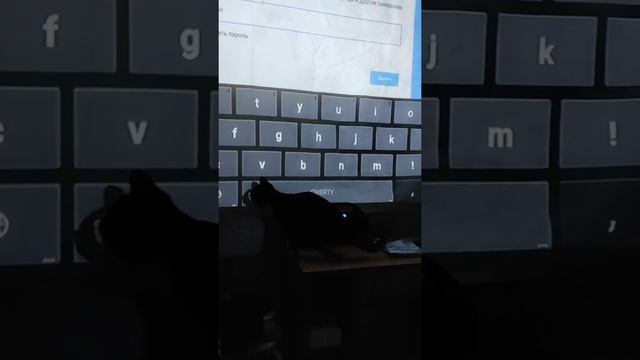 Пробуем настраивать проектор смотреть онлайн