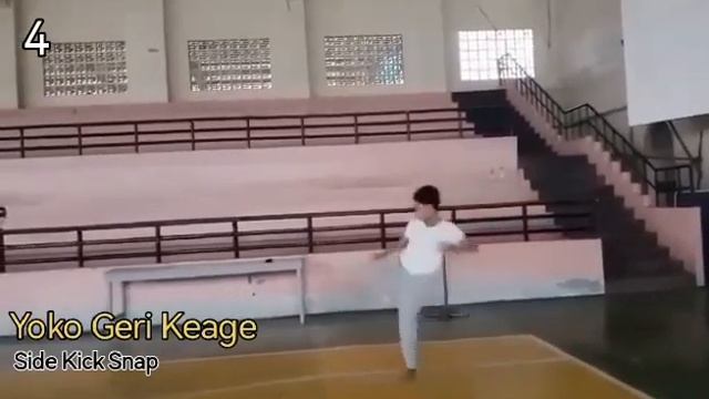6 Basics kicks of Shotokan Karate смотреть онлайн