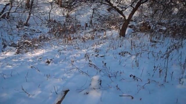 GRANDENIKO И ОСТАЛЬНЫЕ ПЕРЕЕЗЖАЮТ В ДРУГОЕ СЕЛО. СВЕТА ВСЕХ ПОДСТАВИЛА.САМВЕЛ ПРОПАЛ