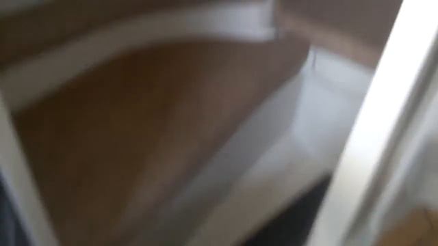 Видео катер Yamarin 68 DC г в  2008