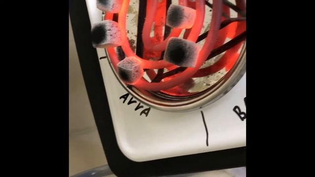 Сравниваем кокосовый уголь (Arra, Bau Bau, CocoLemon, Cocos) смотреть онлайн