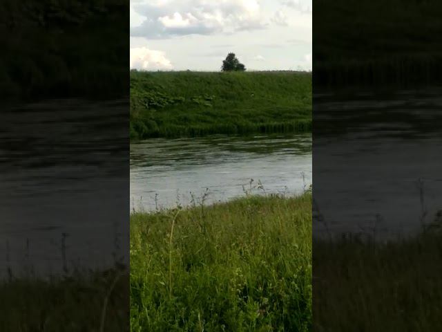 19 июня 2022 г. смотреть онлайн