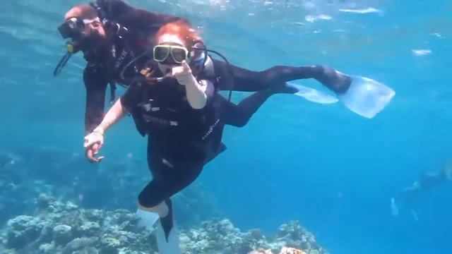 Наш отдых в Египте смотреть онлайн