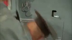 черный дельфин навсегда без свободы