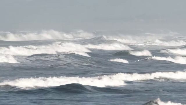 Meditation Music, Relaxing Music, Sleep Music, Sleep Meditation, Study, Calm, Spa #14 смотреть онлайн