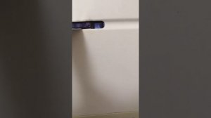 Газовая калонка NEVA зажегаеться и щёлкает но не гарит.