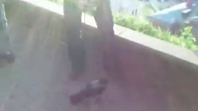 Хищный ворона смотреть онлайн