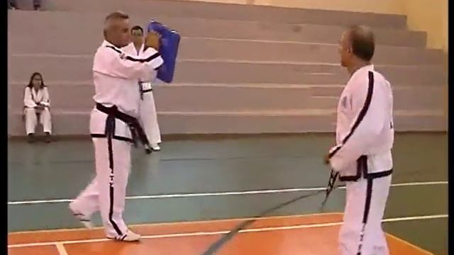 Taekwon-do ITF Reverse Turning Kick by Master V. Alexandris смотреть онлайн
