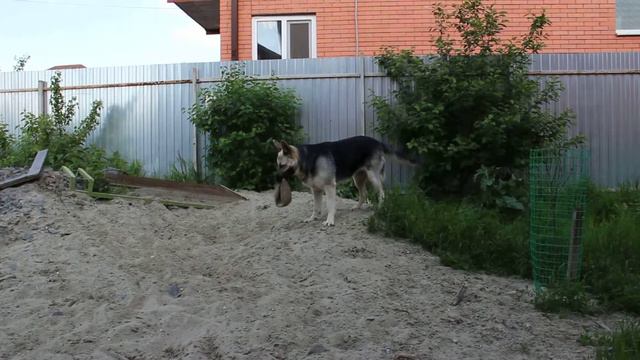 Веолар Кармен 02.05.2016г. смотреть онлайн