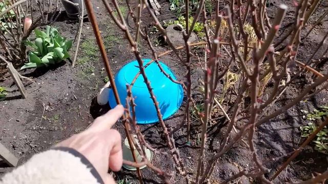 Строительные Технологии