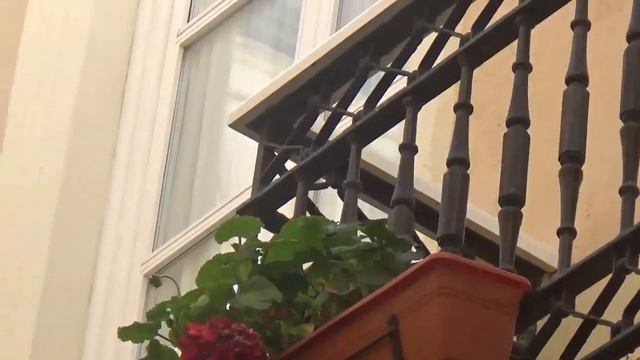 Цветы в январе в Испании смотреть онлайн