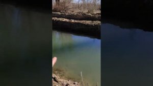 пруд для форели бюджетный вариант