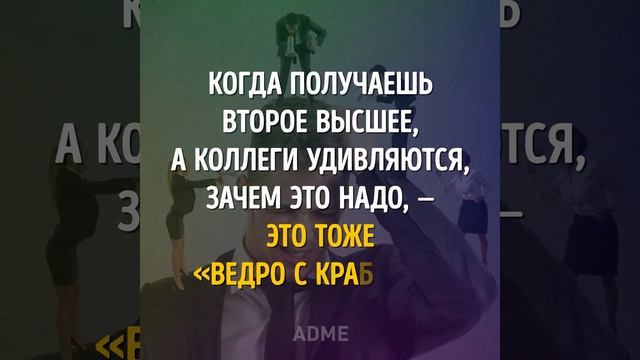 Теория ведра с крабами. смотреть онлайн
