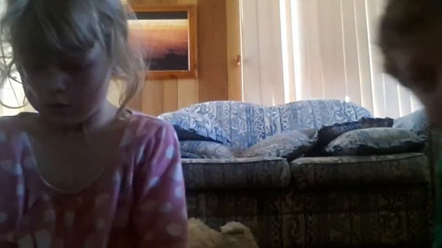 Review of q shape puppy club. смотреть онлайн