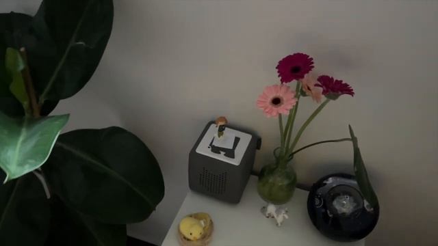 Сделала Flammkuchen,распаковка Flaconi, MAC