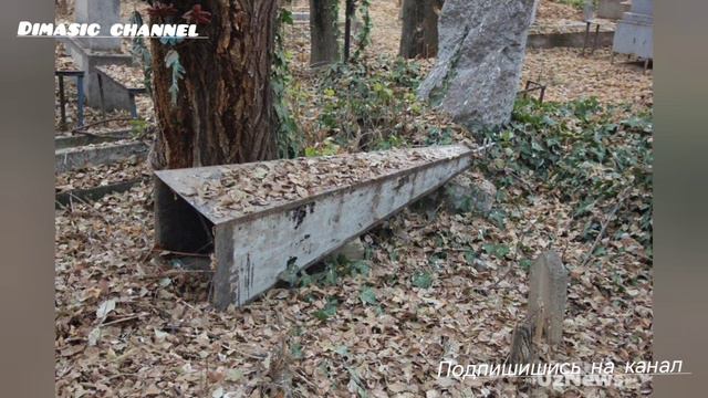 заброшенные захоронения смотреть онлайн
