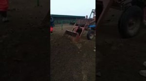 Кун на т 16
