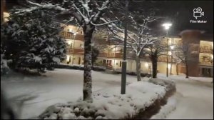 Снежная прогулка в Швеции