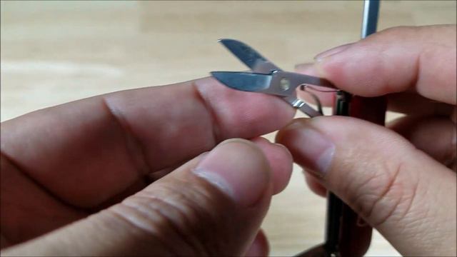 THE BEST GIFT YOU CAN GIVE TO ANYONE THE SWISS ARMY RAMBLER REVIEW смотреть онлайн
