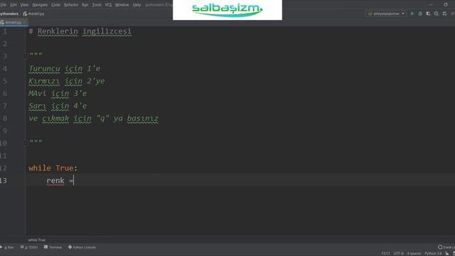 PYTHON IF-ELIF-ELSE ve WHILE ÖRNEKLERİ (Python Eğitim) смотреть онлайн