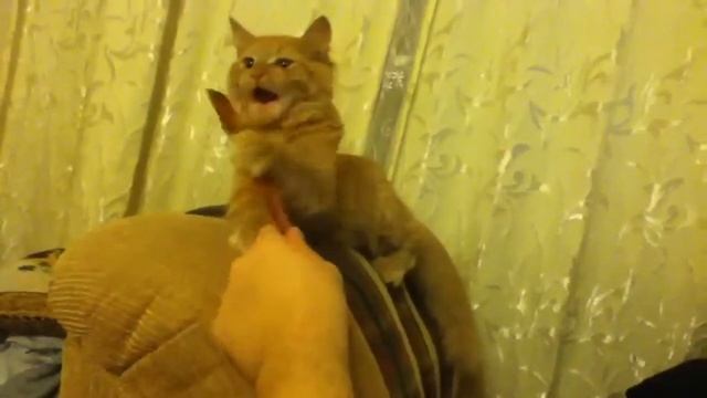 Расческа Даши смотреть онлайн