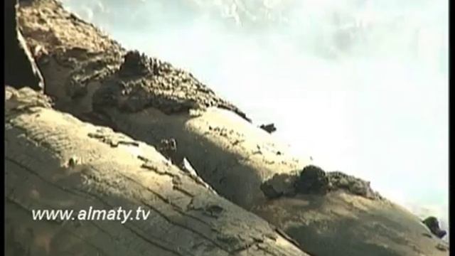 Фото-взгляд смотреть онлайн