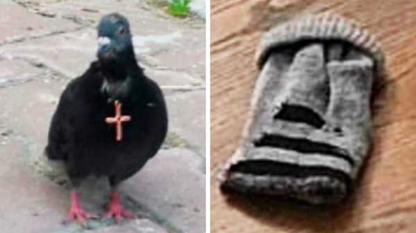 Фото подписчиков Фактории (158 часть)