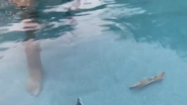 Larry Life Titanic Jurassic World Mosasaurus Pool Attack! смотреть онлайн
