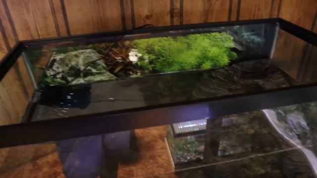Setting Up A 40 Gallon TURTLE TANK! смотреть онлайн