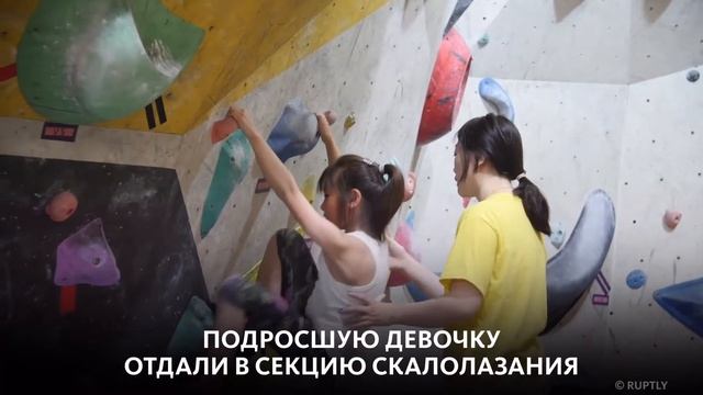 ЗВЕЗДА СКАЛОДРОМА смотреть онлайн