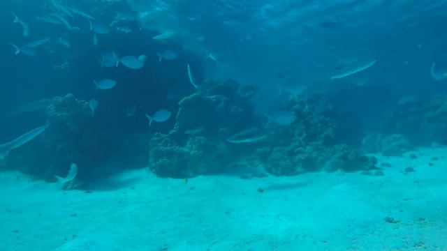 Besos from New Caledonia | Travel drone video смотреть онлайн