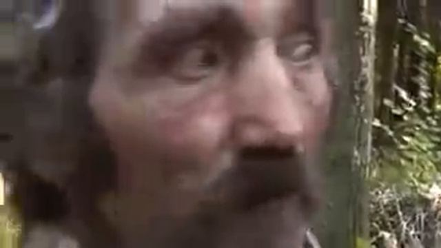 Развлечение и благополучие