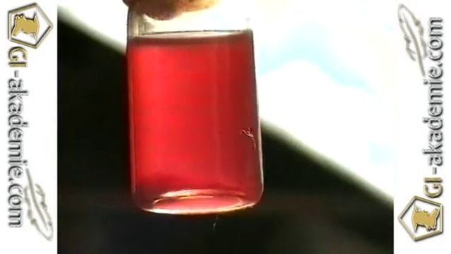 Лечебные растения -- 6 смотреть онлайн