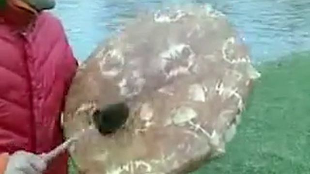 Etnomagazin.ru:::Шаманский бубен смотреть онлайн