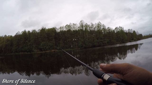 Ловил щуку, а клюнул зверь (КАНАДСКИЙ СОМИК). Первая щука в мае 2020. Отдых под пением птиц. смотреть онлайн