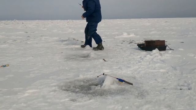 Рыбалка Финский Залив 11.03.2018 смотреть онлайн