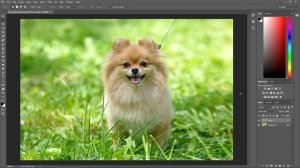 Как УВЕЛИЧИТЬ РЕЗКОСТЬ в ФОТОШОПЕ. 3 способа повышения резкости фотографии. Уроки PHOTOSHOP.
