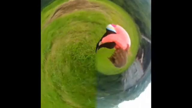 Туса,туса,туса в последний месяц лета( смотреть онлайн