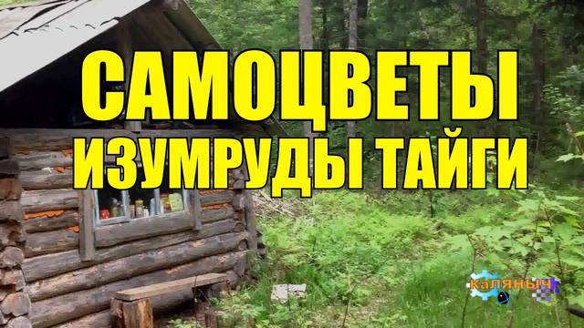  смотреть онлайн